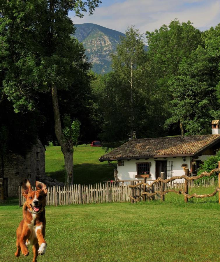 Baita Tana Da L'Ors Forgaria nel Friuli Exterior photo